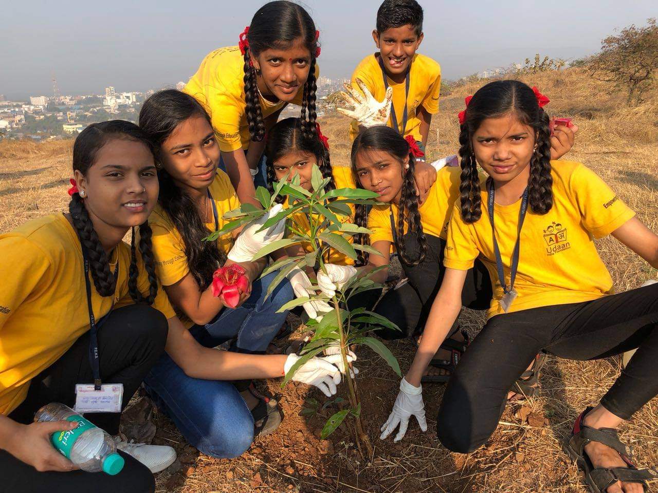 CSR - Tree Plantation